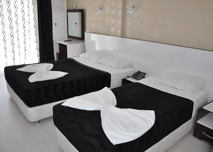 Hotel Movie Life Roe